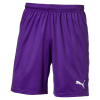 Puma LIGA Shorts Core Fußball - 703436-10