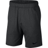Nike Dri-FIT Shorts Herren - AT5693-032