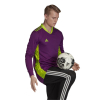 adidas AdiPro 20 Goalkeeper Torwarttrikot Herren Langarm - FI4194