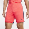 Nike Dri-Fit Academy Fußballshorts Herren - AJ9994-644