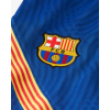 Nike FC Barcelona Strike Fußballshorts Herren - CD6001-455