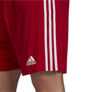 adidas Squadra 21 Shorts Herren - GN5771