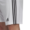 adidas Squadra 21 Shorts Herren - GN5773