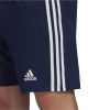 adidas Squadra 21 Shorts Herren - GN5775