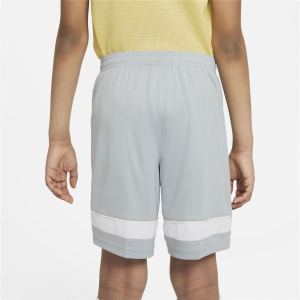 Nike Academy 21 Shorts Kinder - CW6109-019