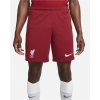 Nike FC Liverpool Heimshorts Herren 2022/23 - DJ7745-608