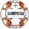 Derbystar Brillant TT AG Trainingsball - 1132