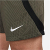 Nike FC Barcelona Strike Shorts Herren - FD4131-355