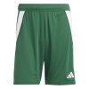 adidas Tiro 24 Shorts Herren grün kurze Sport Hose Männer IS1410