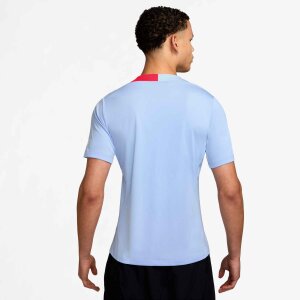Nike Dri-Fit T90 Strike Trikot Jersey Herren blau HV6400-425