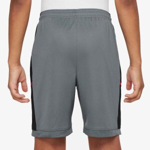 Nike Academy 25 Shorts Fußballshorts Kinder grau...